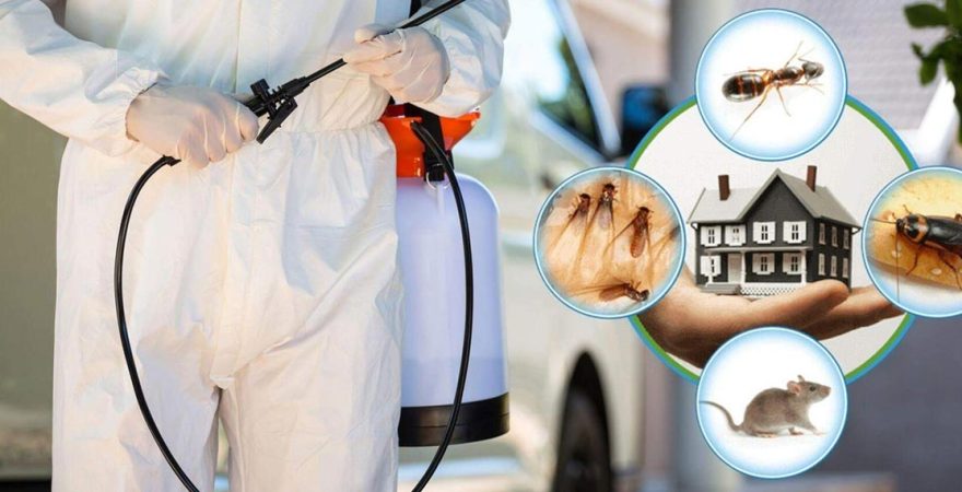 Gaziosmanpaşa Böcek İlaçlama