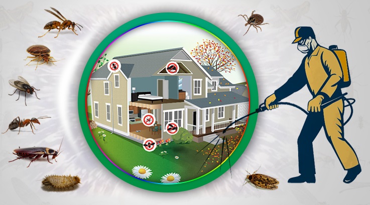 Gaziosmanpaşa Böcek İlaçlama