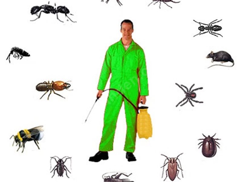 Gaziosmanpaşa Böcek İlaçlama