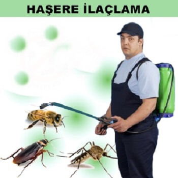 Gaziosmanpaşa Böcek İlaçlama